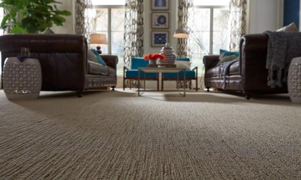 This Is How You Can Choose The Right Wall to wall Carpet Color